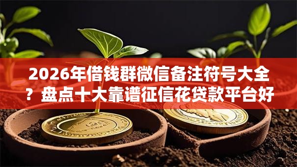 2026年借钱群微信备注符号大全？盘点十大靠谱征信花贷款平台好下款