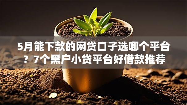 5月能下款的网贷口子选哪个平台？7个黑户小贷平台好借款推荐