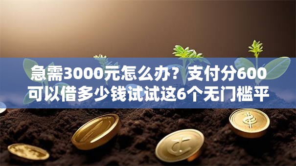 急需3000元怎么办？支付分600可以借多少钱试试这6个无门槛平台