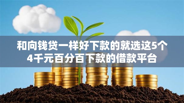 和向钱贷一样好下款的就选这5个4千元百分百下款的借款平台