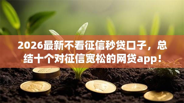2026最新不看征信秒贷口子，总结十个对征信宽松的网贷app！
