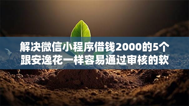 解决微信小程序借钱2000的5个跟安逸花一样容易通过审核的软件分享
