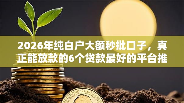2026年纯白户大额秒批口子，真正能放款的6个贷款最好的平台推荐
