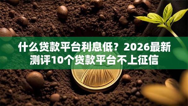 什么贷款平台利息低？2026最新测评10个贷款平台不上征信