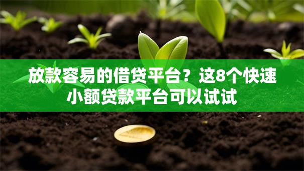 放款容易的借贷平台？这8个快速小额贷款平台可以试试