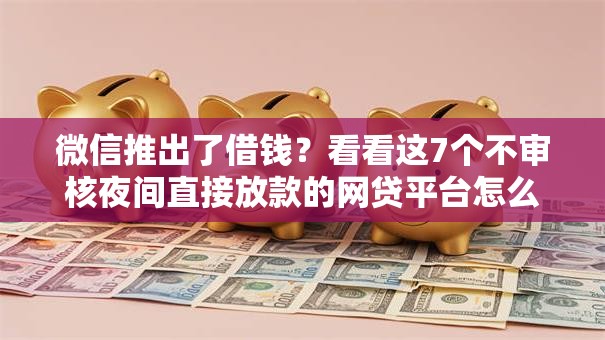 微信推出了借钱？看看这7个不审核夜间直接放款的网贷平台怎么样