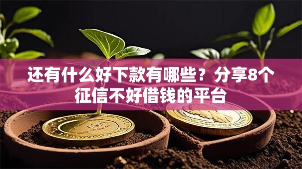 还有什么好下款有哪些？分享8个征信不好借钱的平台