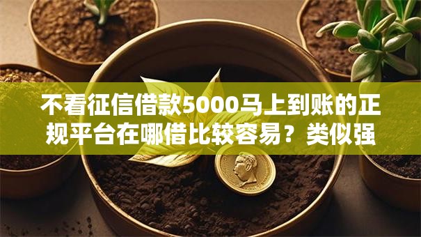 不看征信借款5000马上到账的正规平台在哪借比较容易?类似强制下款的6个口子参考 不看征信借款5000马上到账的正规平台在哪借比较容易?类似强制下款的6个口子参考