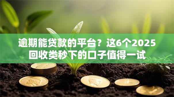 逾期能贷款的平台?这6个2025回收类秒下的口子值得一试 逾期能贷款的平台?这6个2025回收类秒下的口子值得一试
