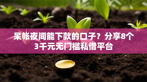 呆帐夜间能下款的口子？分享8个3千元无门槛私借平台