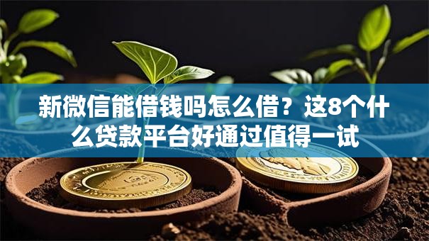 新微信能借钱吗怎么借?这8个什么贷款平台好通过值得一试 新微信能借钱吗怎么借?这8个什么贷款平台好通过值得一试