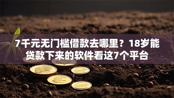 7千元无门槛借款去哪里？18岁能贷款下来的软件看这7个平台