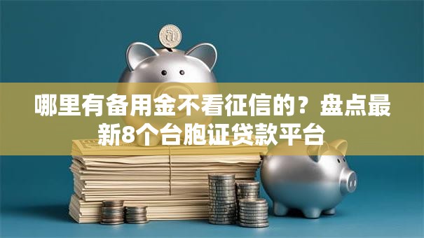 哪里有备用金不看征信的？盘点最新8个台胞证贷款平台