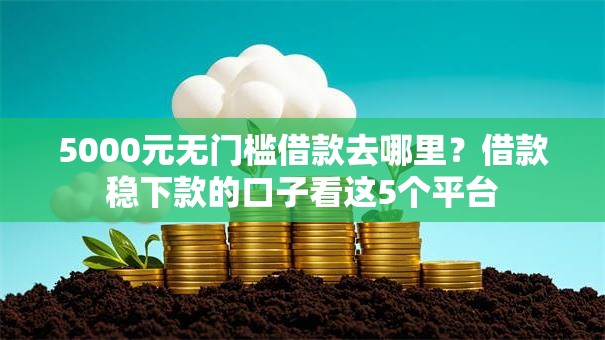 5000元无门槛借款去哪里？借款稳下款的口子看这5个平台