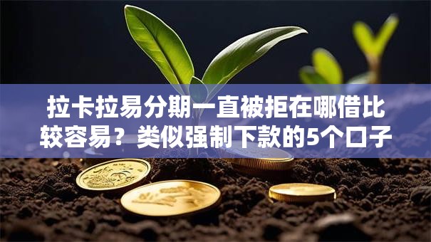 拉卡拉易分期一直被拒在哪借比较容易?类似强制下款的5个口子参考 拉卡拉易分期一直被拒在哪借比较容易?类似强制下款的5个口子参考