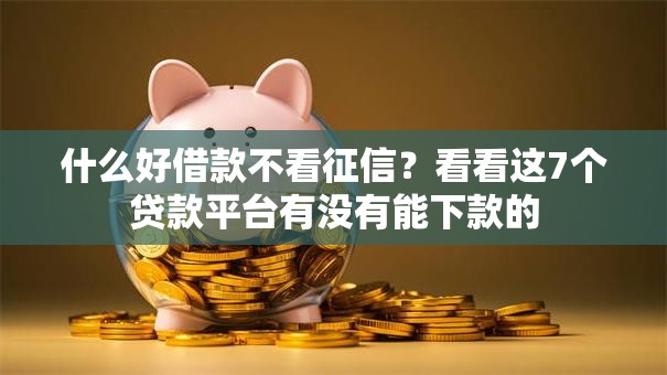 什么好借款不看征信？看看这7个贷款平台有没有能下款的