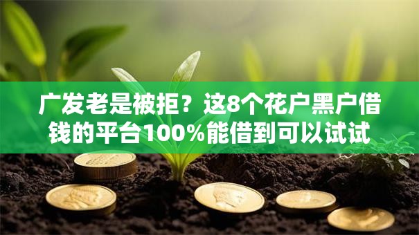 广发老是被拒？这8个花户黑户借钱的平台100%能借到可以试试
