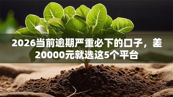 2026当前逾期严重必下的口子，差20000元就选这5个平台