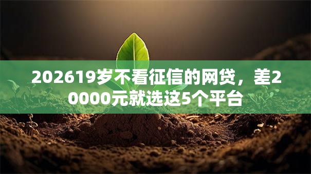 202619岁不看征信的网贷,差20000元就选这5个平台 202619岁不看征信的网贷,差20000元就选这5个平台