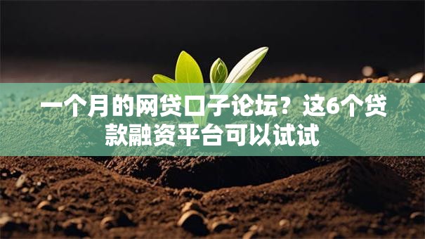 一个月的网贷口子论坛?这6个贷款融资平台可以试试 一个月的网贷口子论坛?这6个贷款融资平台可以试试