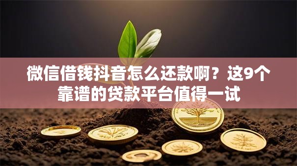 微信借钱抖音怎么还款啊?这9个靠谱的贷款平台值得一试 微信借钱抖音怎么还款啊?这9个靠谱的贷款平台值得一试