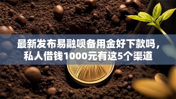 最新发布易融呗备用金好下款吗，私人借钱1000元有这5个渠道