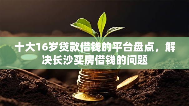十大16岁贷款借钱的平台盘点,解决长沙买房借钱的问题 十大16岁贷款借钱的平台盘点,解决长沙买房借钱的问题