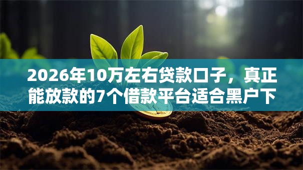 2026年10万左右贷款口子，真正能放款的7个借款平台适合黑户下款推荐