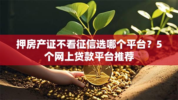 押房产证不看征信选哪个平台？5个网上贷款平台推荐