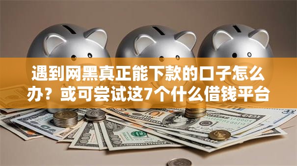 遇到网黑真正能下款的口子怎么办？或可尝试这7个什么借钱平台靠谱