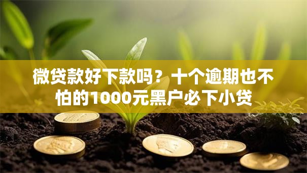 微贷款好下款吗？十个逾期也不怕的1000元黑户必下小贷