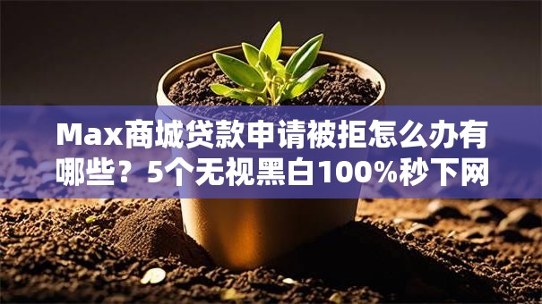 Max商城贷款申请被拒怎么办有哪些？5个无视黑白100%秒下网贷推荐给你