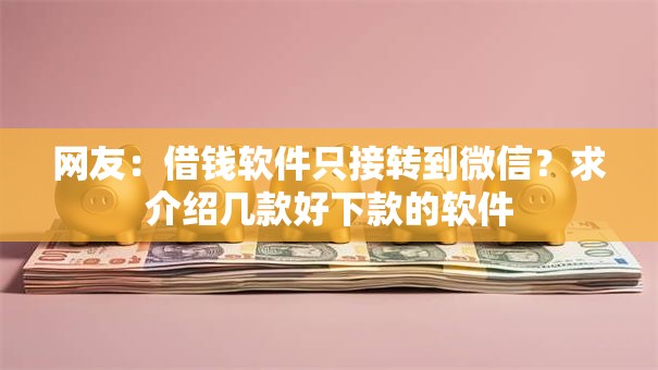 网友：借钱软件只接转到微信？求介绍几款好下款的软件