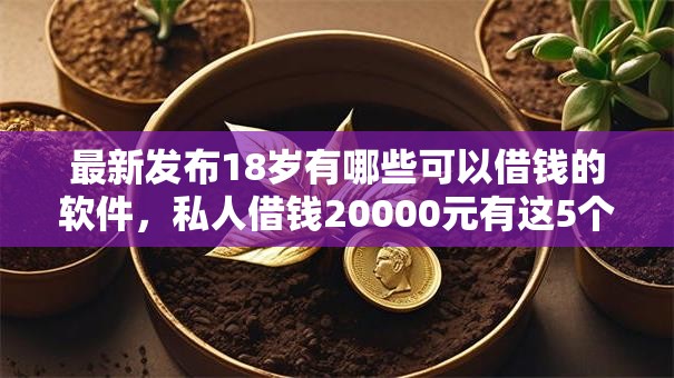 最新发布18岁有哪些可以借钱的软件，私人借钱20000元有这5个渠道