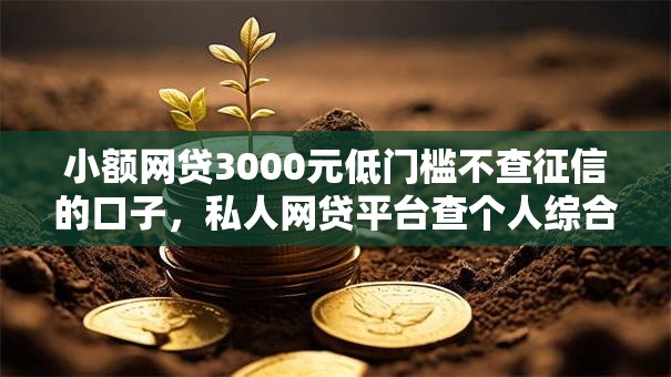 小额网贷3000元低门槛不查征信的口子，私人网贷平台查个人综合征信正规不的5个平台介绍