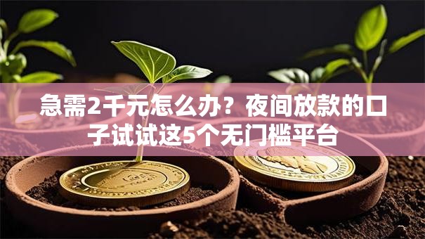 急需2千元怎么办？夜间放款的口子试试这5个无门槛平台