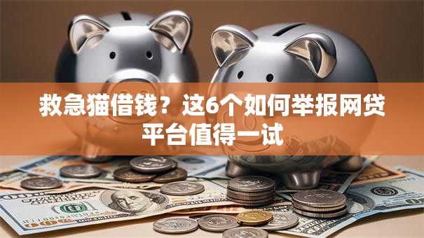 救急猫借钱？这6个如何举报网贷平台值得一试