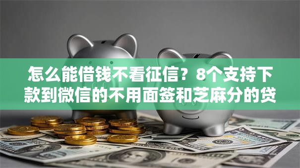 怎么能借钱不看征信？8个支持下款到微信的不用面签和芝麻分的贷款口子