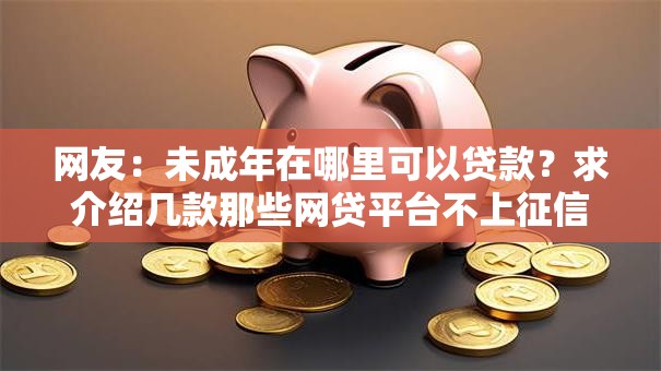 网友:未成年在哪里可以贷款?求介绍几款那些网贷平台不上征信 网友:未成年在哪里可以贷款?求介绍几款那些网贷平台不上征信