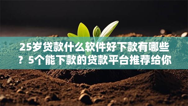 25岁贷款什么软件好下款有哪些?5个能下款的贷款平台推荐给你 25岁贷款什么软件好下款有哪些?5个能下款的贷款平台推荐给你
