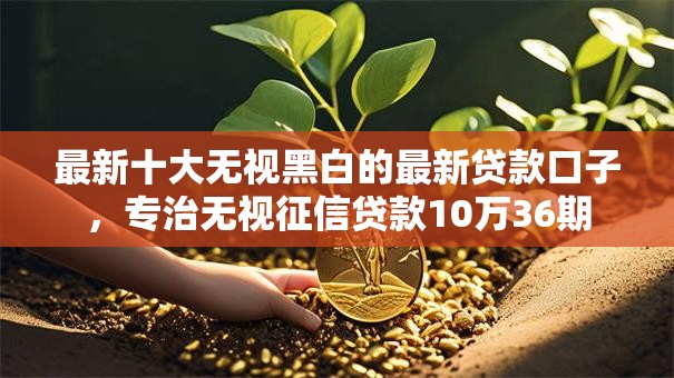 最新十大无视黑白的最新贷款口子，专治无视征信贷款10万36期