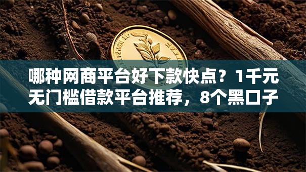哪种网商平台好下款快点？1千元无门槛借款平台推荐，8个黑口子秒下款2025盘点
