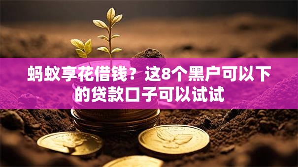 蚂蚁享花借钱？这8个黑户可以下的贷款口子可以试试