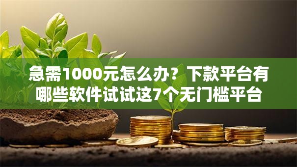 急需1000元怎么办？下款平台有哪些软件试试这7个无门槛平台