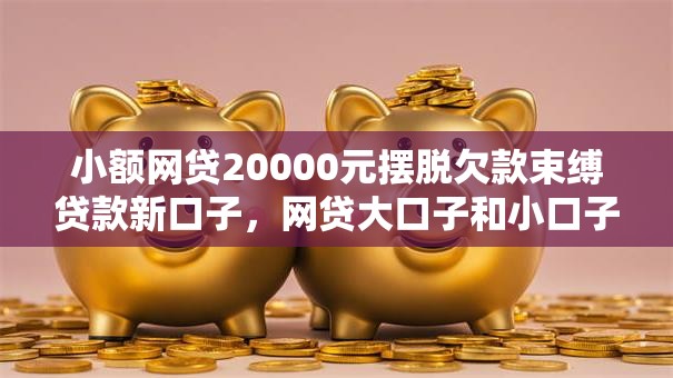 小额网贷20000元摆脱欠款束缚贷款新口子,网贷大口子和小口子的6个平台介绍 小额网贷20000元摆脱欠款束缚贷款新口子,网贷大口子和小口子的6个平台介绍