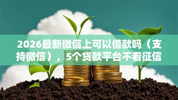 2026最新微信上可以借款吗（支持微信），5个贷款平台不看征信,不看负债无私分享