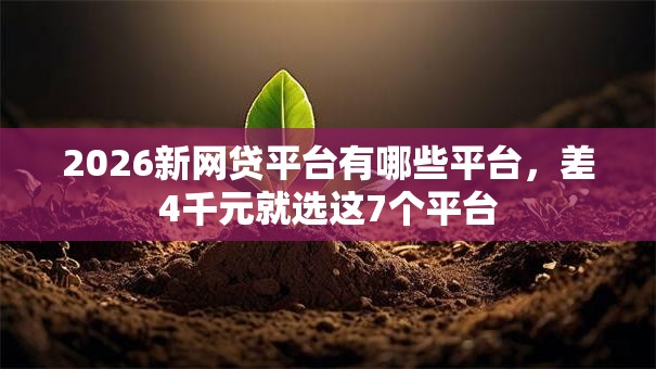 2026新网贷平台有哪些平台，差4千元就选这7个平台
