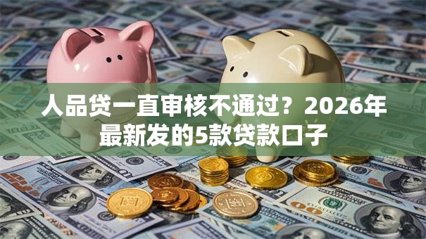 人品贷一直审核不通过？2026年最新发的5款贷款口子