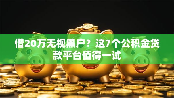 借20万无视黑户？这7个公积金贷款平台值得一试