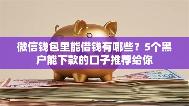 微信钱包里能借钱有哪些？5个黑户能下款的口子推荐给你